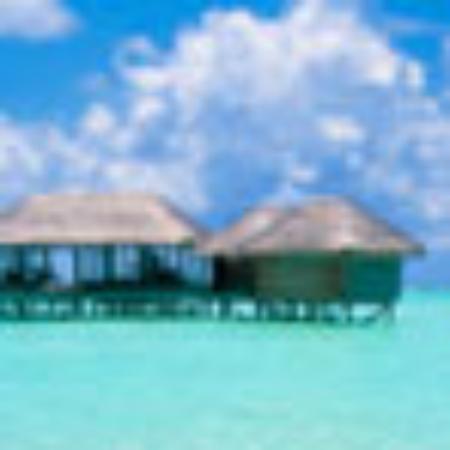 Oyster Alley American Restaurant